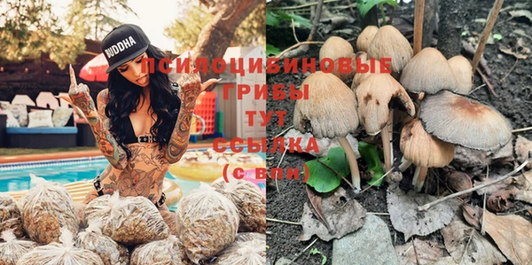 хмурый Зеленодольск