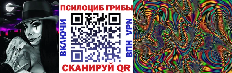 Псилоцибиновые грибы Magic Shrooms  Купить закладки  Чкаловск 